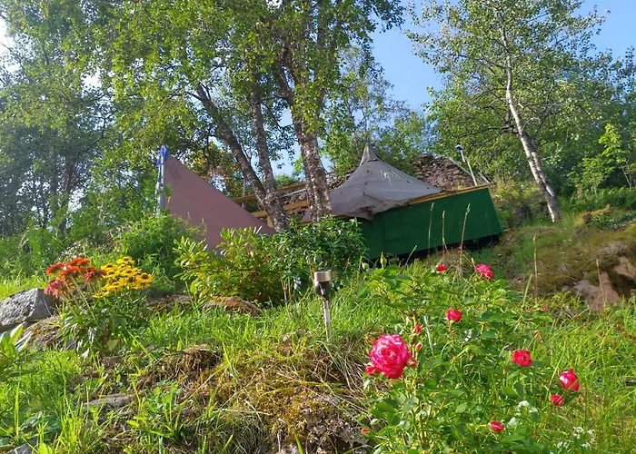 אתר קמפינג The Perfect Stop *